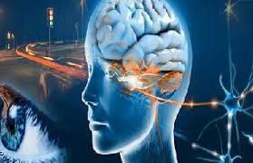 پاورپوینت (اسلاید) نوروپسیکولوژی